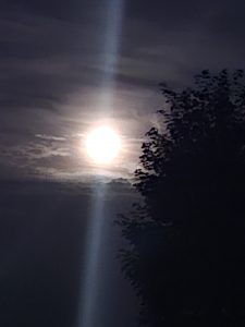 1000101012