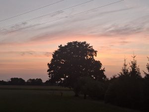 20250808_211455[1]