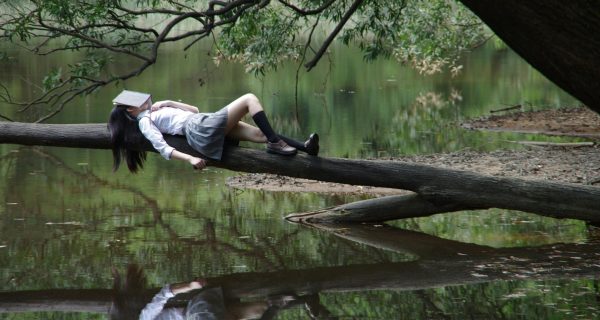 pexels-pixabay-267684