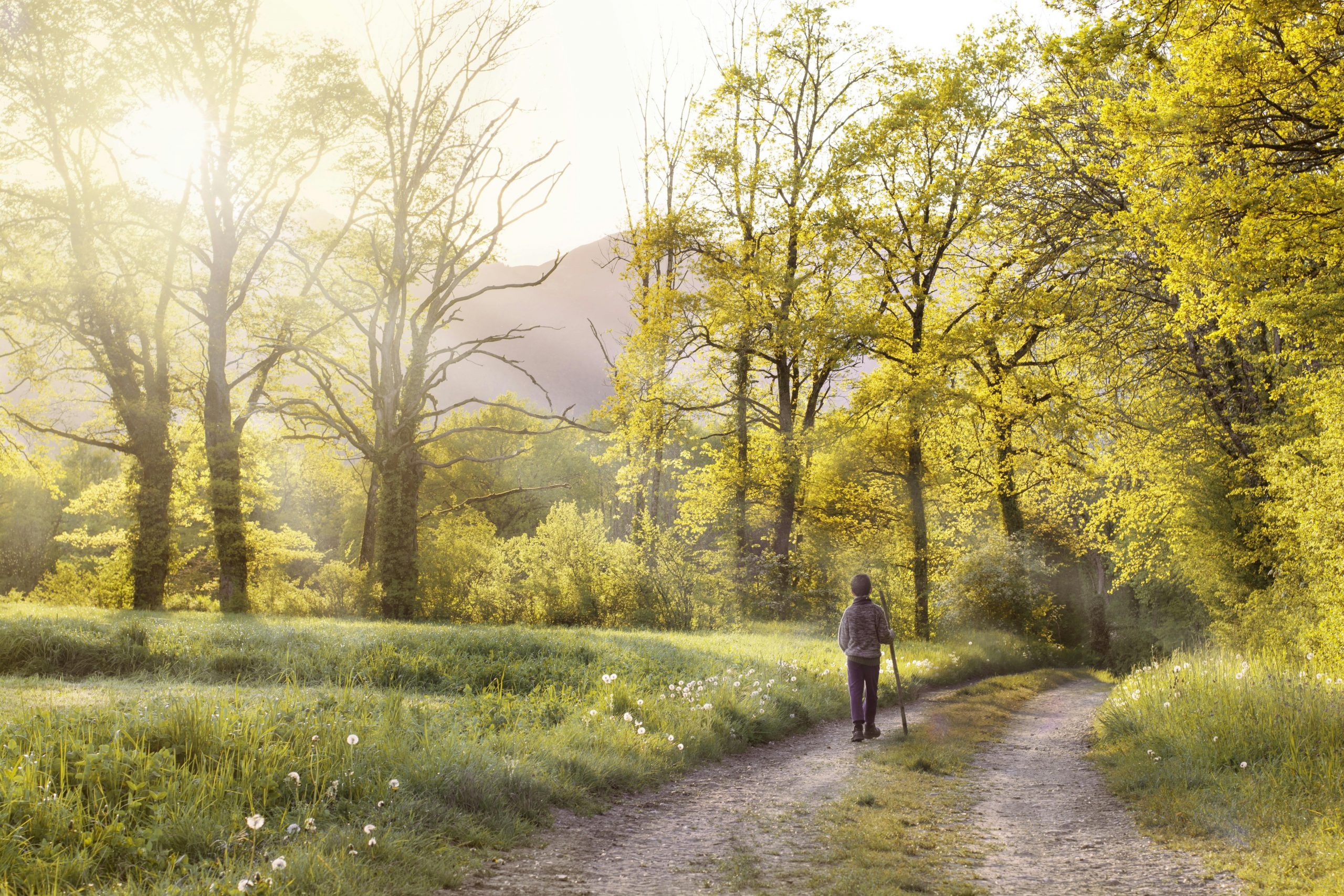 Frau allein in der Natur, ruhig in Bewegung, goldenes Licht