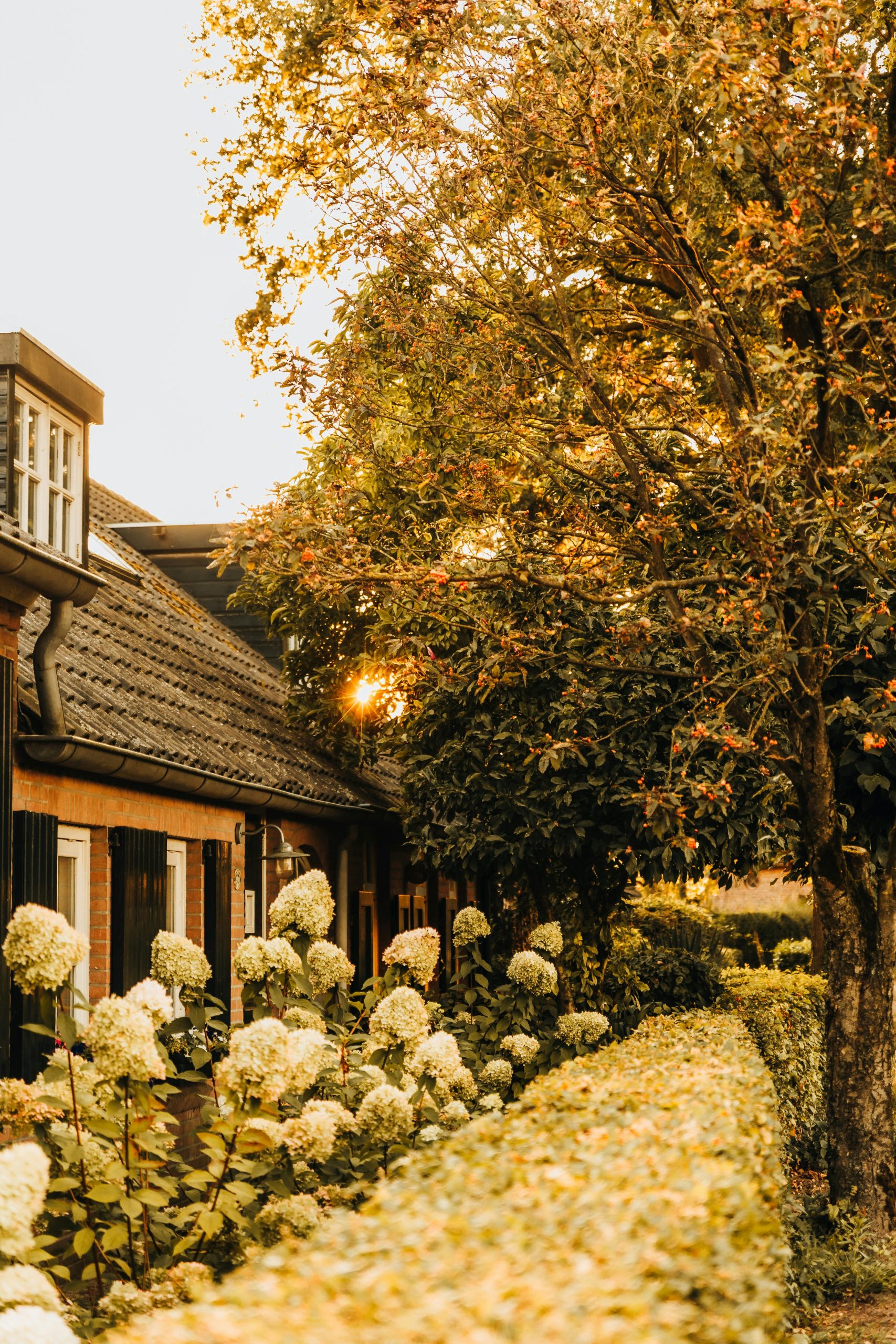 Gepflegtes Haus mit Garten, Abendsonne, keine Menschen