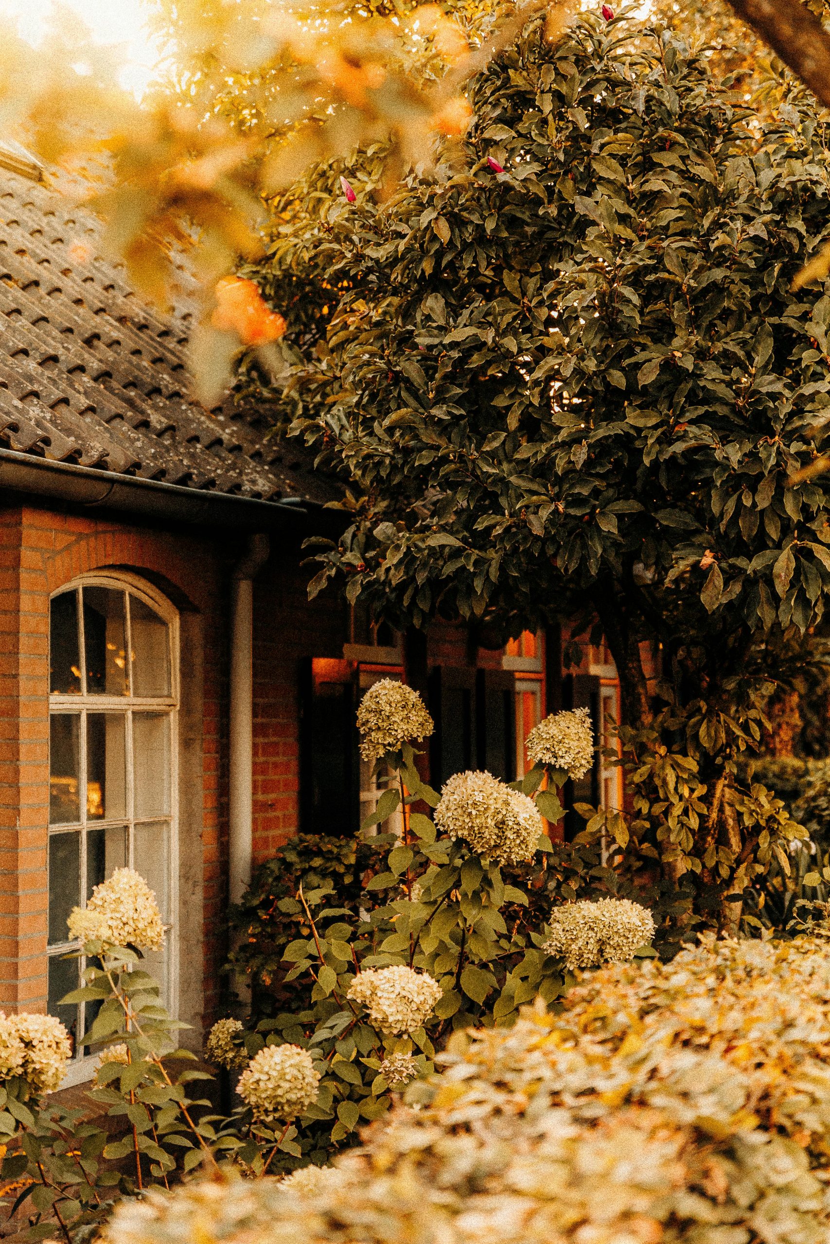 Gepflegtes Haus mit Garten, Abendsonne, keine Menschen